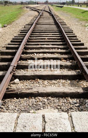 End of railway line tracks inside Auschwitz II-Birkenau German Nazi Concentration and Extermination Camp. Oswiecim, Poland Stock Photo