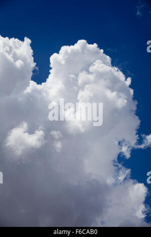 A huge white cloud billows up into a deep blue sky after a storm. Stock Photo