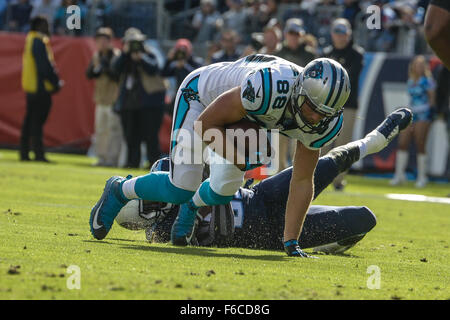 Nashville, TN, USA. 15th Nov, 2015. on November 15, 2015, at Nissan Stadium in Nashville, Tennessee. The Panthers defeated the Titans 27-10. Margaret Bowles/CSM/Alamy Live News Stock Photo