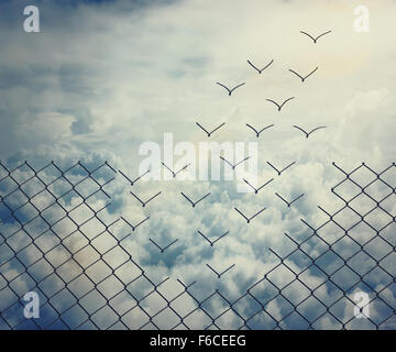 Metallic wire mesh transform into birds flying over sky. Freedom, friendship and courage, escape concept. Fantastic and impossible becomes possible. Stock Photo