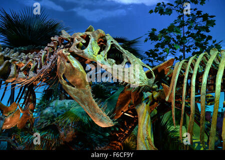 INDIANAPOLIS, IN – JULY 22: Dinosaur exhibit at the Children's Museum of Indianapolis on July 22, 2014 in Indianapolis Indiana Stock Photo