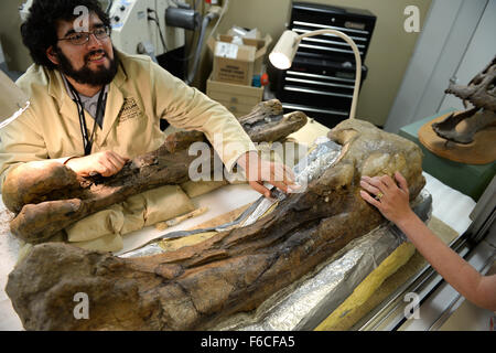 INDIANAPOLIS, IN – JULY 22: Fossil worker talks to visitor at the Children's Museum of Indianapolis on July 22, 2014 Stock Photo