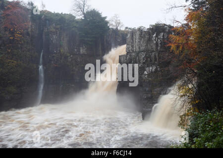 High Force in full flow during heavy rainfall on the River Tees. Teesdale. County Durham. UK. Stock Photo