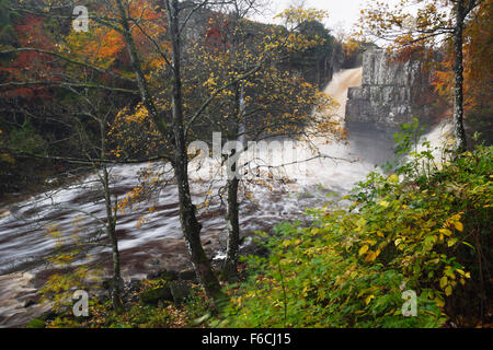 High Force in full flow on the River Tees. Teesdale. County Durham. UK. Stock Photo