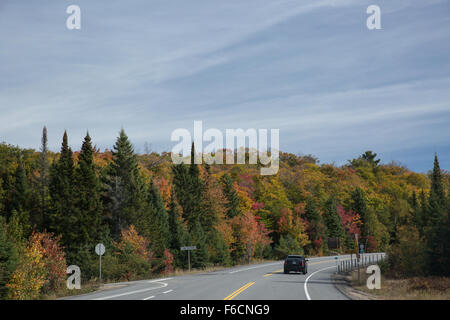 A road through trees full of Autumn colour. Stock Photo