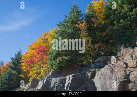 Bright Autumn colours in Algonquin Provincial Park in October 2015 Stock Photo