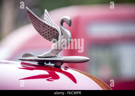 Hood ornament of an old road cruiser, red vintage car cabriolet on the streets, Old American road cruisers Stock Photo