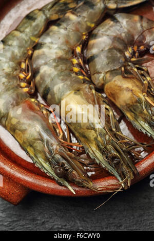 Raw unpeeled Giant Prawns on a red clay plate on a black slate background. Stock Photo