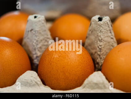 Macro close-up of brown spotted eggs in gray paper egg carton. Stock Photo