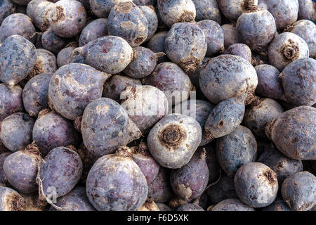 Fresh beets Stock Photo