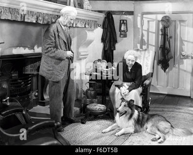 RELEASE DATE: December 7, 1943. STUDIO: Metro-Goldwyn-Mayer (MGM). PLOT: The pulse-pounding adventure of an unusual collie who fought her way home through a thousand miles of danger. PICTURED: Actor BEN WEBSTER as Dan'l Fadden, actress DAME MAY WHITTY as Dally Fadden, and LASSIE the dog. Stock Photo