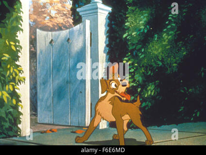 Lady and the tramp 1955 hi-res stock photography and images