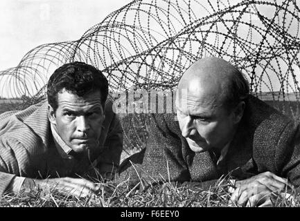 Jul 04, 1963 - Munich, GERMANY - RELEASE DATE: July 4, 1963. DIRECTOR: John Sturges. STUDIO: The Mirisch Corporation/United Artists. PLOT: Based on a true story, the film portrays the largest Allied escape attempt from a German high-security 'escape-proof' POW camp during the Second World War. PICTURED: Actor STEVE McQUEEN as Capt. Hilts 'The Cooler King'. Stock Photo