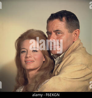 THE LAST CHALLENGE, Angie Dickinson, Glenn Ford, 1967 Stock Photo - Alamy