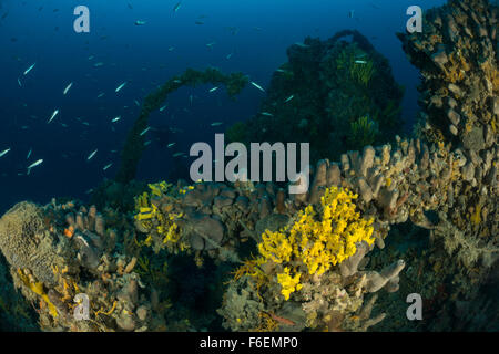 Wreck SS Albanien in 75 m depth, Pag, Croatia Stock Photo