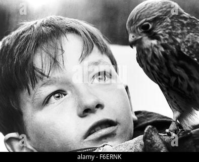 RELEASE DATE: June 19th, 1970. MOVIE TITLE: Kes. STUDIO: MGM. PLOT: Bullied at school and ignored and abused at home by his indifferent mother and older brother, Billy Casper, a 15-year-old working-class Yorkshire boy, tames and trains his pet kestrel falcon whom he names Kes. Helped and encouraged by his English teacher Mr. Farthing and his fellow students, Billy finally finds a positive purpose to his unhappy existence, until tragedy strikes. PICTURED: DAVID BRADLEY as Billy. Stock Photo