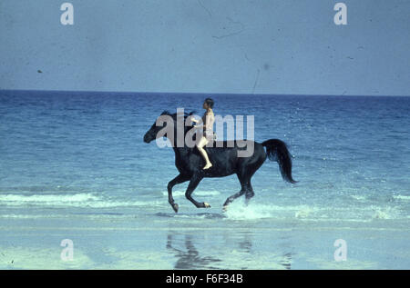 RELEASE DATE: October 17, 1979. MOVIE TITLE: The Black Stallion. STUDIO: Omni Zoetrope. PLOT: While traveling with his father, young Alec becomes fascinated by a mysterious Arabian stallion that is brought on board and stabled in the ship he is sailing on. When the ship tragically sinks both he and the horse survive only to be stranded on a deserted island. Alec befriends the horse, so when finally rescued both return to his home where they soon meet Henry Dailey, a once successful trainer. Together they begin training The Black to race against the fastest horses in the world. PICTURED: KELLY Stock Photo