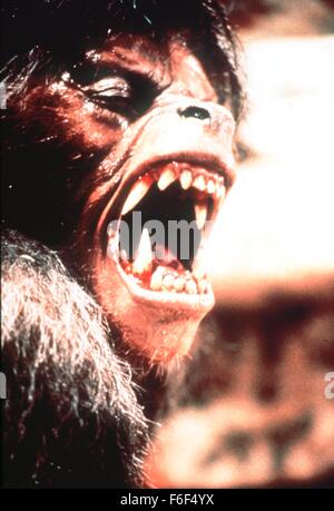 RELEASE DATE: August 21, 1981  MOVIE TITLE: An American Werewolf in London  STUDIO: Lyncanthrope Films  DIRECTOR: John Landis  PLOT: Two American tourists in Britain are attacked by a werewolf that none of the locals will admit exists  PICTURED: Scene from movie  (Credit Image: c Courtesy of Guber-Peters Company/Entertainment Pictures) Stock Photo