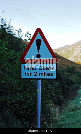 Feral Goats for 2 milesw sign in Glen Shiel, Inverness-shire, Scotland, United Kingdom. Stock Photo