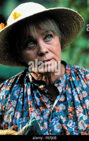 RELEASE DATE: August 24, 1990   MOVIE TITLE: The Witches   STUDIO: Warner Bros. Pictures   DIRECTOR: Nicolas Roeg   PLOT: A young boy stumbles onto a witch convention and must stop them, even after he has been turned into a mouse.   PICTURED: BRENDA BLETHYN as Bruno's Grandmother.   (Credit Image: c Warner Bros. Pictures/Entertainment Pictures) Stock Photo