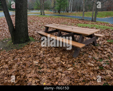 empty picnic table with fallen autumn leaves Stock Photo