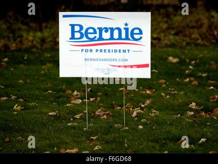 2016 US presidential campaign yard sign for Bernie Sanders Stock Photo