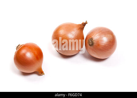 Fresh onions vegetables on white background. Arrangement of three ripe fresh onions isolated on white background. Stock Photo