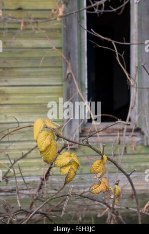 Abandoned House Stock Photo