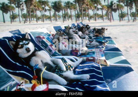 Jan 18, 2002; Hollywood, CA, USA; Scene from the comedy ''Snow Dogs'' directed by Brian Levant. Stock Photo