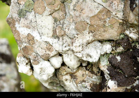 Distinctive rocks on the mountainsides of Glen Nevis in the Scottish Highands Stock Photo