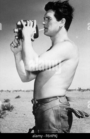 1955, Film Title: GIANT, Director: GEORGE STEVENS, Studio: WARNER, Pictured: HOLD THAT POSE (CAMERAS), ROCK HUDSON. (Credit Image: SNAP) Stock Photo