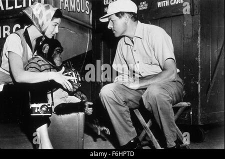 1958, Film Title: MERRY ANDREW, Director: MICHAEL KIDD, Pictured: PIER ANGELI, ANIMALS (WITH ACTORS), BEHIND THE SCENES, HOLD THAT POSE (CAMERAS), DANNY KAYE, MICHAEL KIDD, MONKEY (GIBBON). (Credit Image: SNAP) Stock Photo