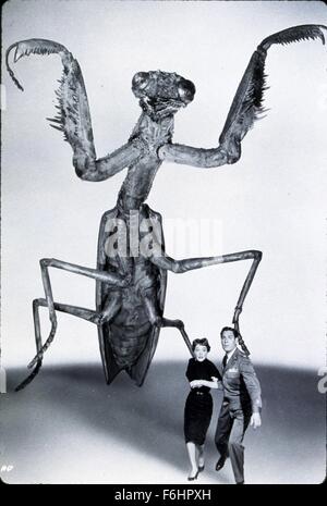 1957, Film Title: DEADLY MANTIS, Director: NATHAN JURAN, Studio: UNIV, Pictured: RUNNING, CRAIG STEVENS, ALIX TALTON, ITS & ALIENS! THINGS, ATTACK, GIANT, PRAYER MANTIS, SCI-FI, INSECT, FEAR. (Credit Image: SNAP) Stock Photo