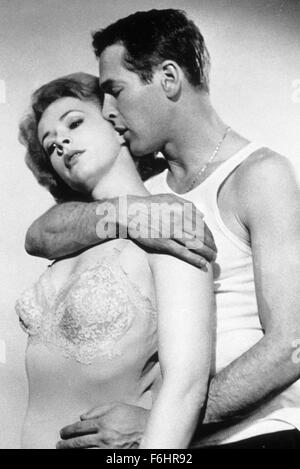 1961, Film Title: HUSTLER, Director: ROBERT ROSSEN, Pictured: EMBRACE, KISSING, PIPER LAURIE, PAUL NEWMAN, ROMANCE, T-SHIRT. (Credit Image: SNAP) Stock Photo