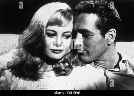 1962, Film Title: SWEET BIRD OF YOUTH, Director: RICHARD BROOKS, Studio: MGM, Pictured: RICHARD BROOKS, SHIRLEY KNIGHT. (Credit Image: SNAP) Stock Photo