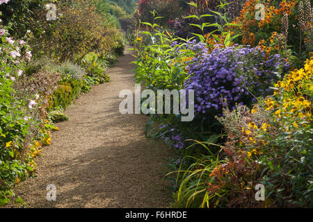 Colourful autumn borders of rudbeckia and michaelmas daisies within the walled garden of Rousham House in Oxfordshire, England. Stock Photo