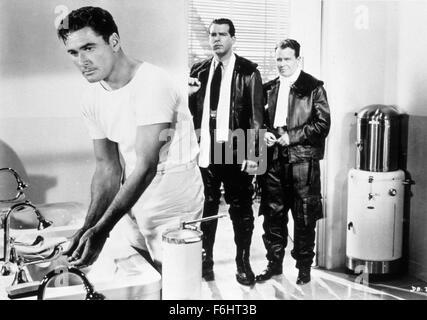 1941, Film Title: DIVE BOMBER, Director: MICHAEL CURTIZ, Studio: WARNER, Pictured: MICHAEL CURTIZ, ERROL FLYNN, FRED MacMURRAY. (Credit Image: SNAP) Stock Photo