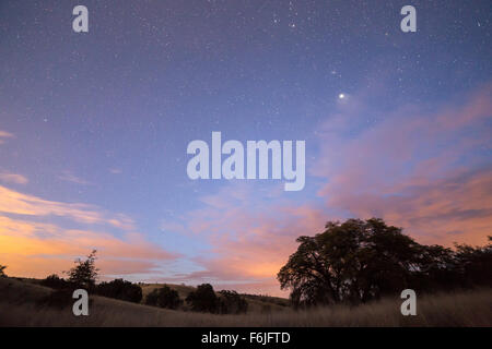 Juiper and the night sky shining above oak trees and grasslands, Coronado National Forest, Arizona Stock Photo