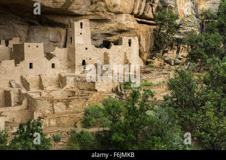 Cliff Palace, cliff dwelling, Colorado Stock Photo