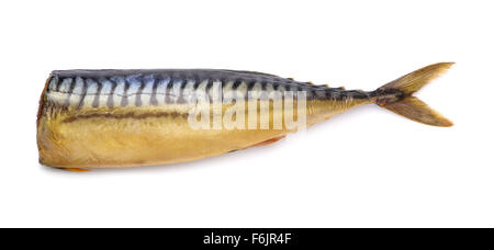 Smoked mackerel  without head isolated on white Stock Photo