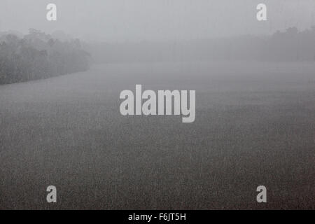 A tropical downpour in an oxbow lake in Peruvian rainforest. Stock Photo