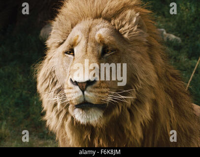 Narnia aslan hi-res stock photography and images - Alamy