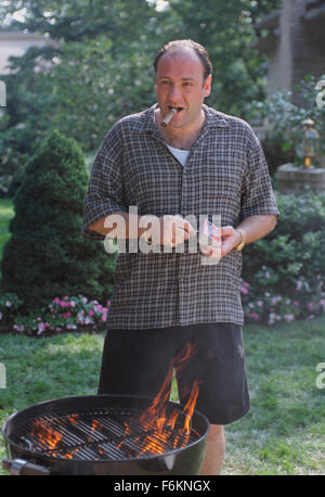 June 19, 2013 - FILE - James Gandolfini, star of HBO's ''The Sopranos' has died of a heart attack in Rome. He was 51. Gandolfino was known for his role as Tony Soprano in the HBO series 'The Sopranos.' PICTURED: JAMES GANDOLFINI as New Jersey-based Italian-American mobster Tony Soprano. (Credit Image: c HBO/Entertainment Pictures) Stock Photo