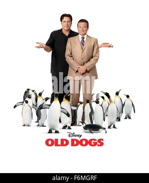 RELEASE DATE: November 25, 2009. MOVIE TITLE: Old Dogs. STUDIO: Walt Disney Pictures. PLOT: Charlie and Dan have been best friends and business partners for thirty years; their Manhattan public relations firm is on the verge of a huge business deal with a Japanese company. With two weeks to sew up the contract, Dan gets a surprise: a woman he married on a drunken impulse nearly nine years before (annulled the next day) shows up to tell him he's the father of her twins, now seven, and she'll be in jail for 14 days for a political protest. Dan volunteers to keep the tykes, although he's up tight Stock Photo
