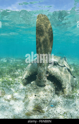 The propeller of a Japanese Zero fighter, shot down during World War II in Palau, is evident on a shallow reef. Stock Photo