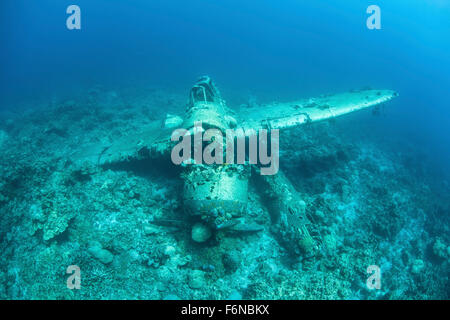 A Japanese Jake seaplane, shot down during World War II, lies on the seafloor of Palau's lagoon. Many planes and dozens of large Stock Photo