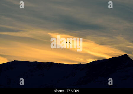 paraglider on a vibrant and bright dawn sky flying over majestic snow covered mountain top Stock Photo