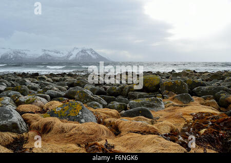 stormy windy day by the sea shore with majestic mountain in the distance on the island of Senja Stock Photo