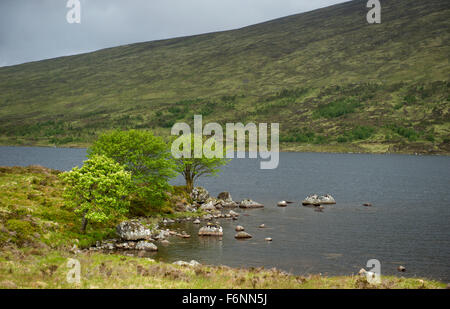 a break in the rain gives a view of Loch Ossian near Corrour station with full rich colours Stock Photo