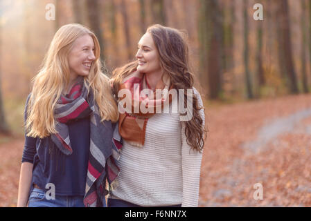 Two attractive young female friends walking arm in arm through autumn woodland chatting and smiling ay each other, close up uppe Stock Photo